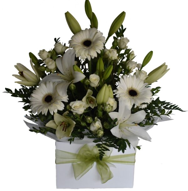 Angelina Flowers