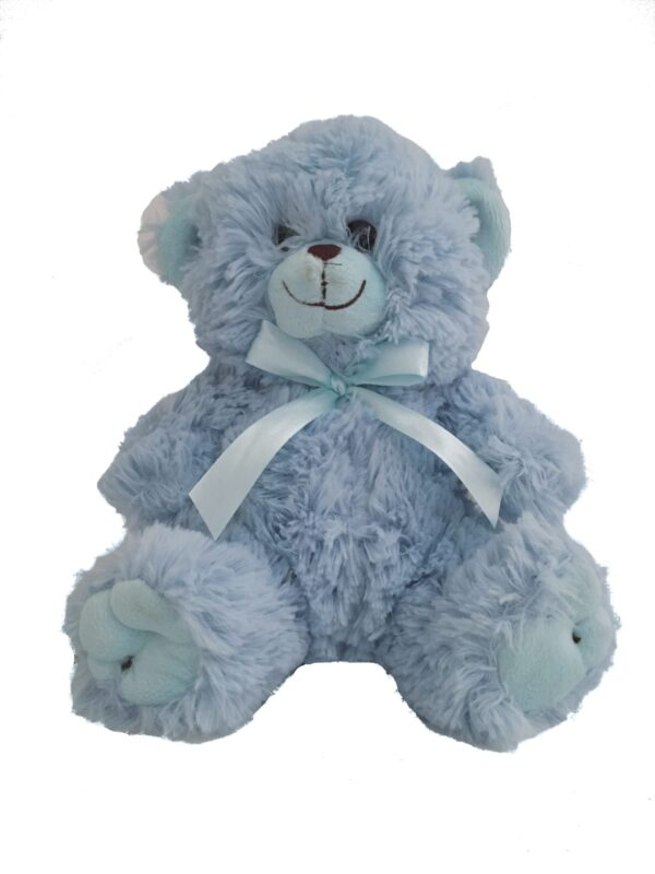 Medium Teddy Bear Blue