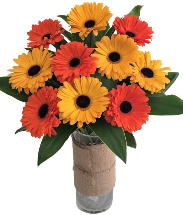 Mixed Gerberas Flower Bouquet