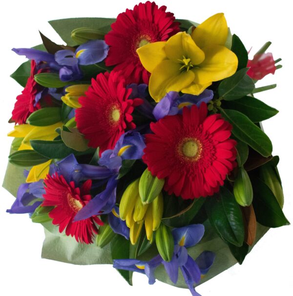 Gina Flower Scentsation