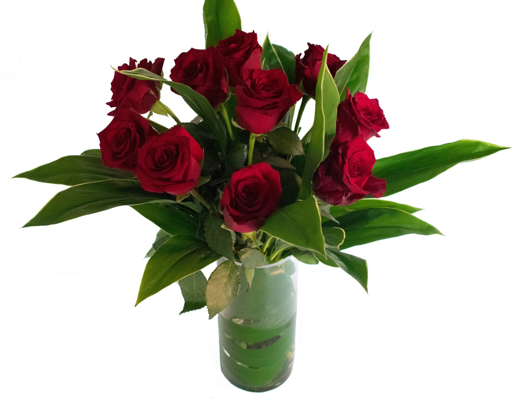 Riley Flowers Flowers & Gifts Flower Scentsation's Bouquets Scentsations Flowers & Gifts