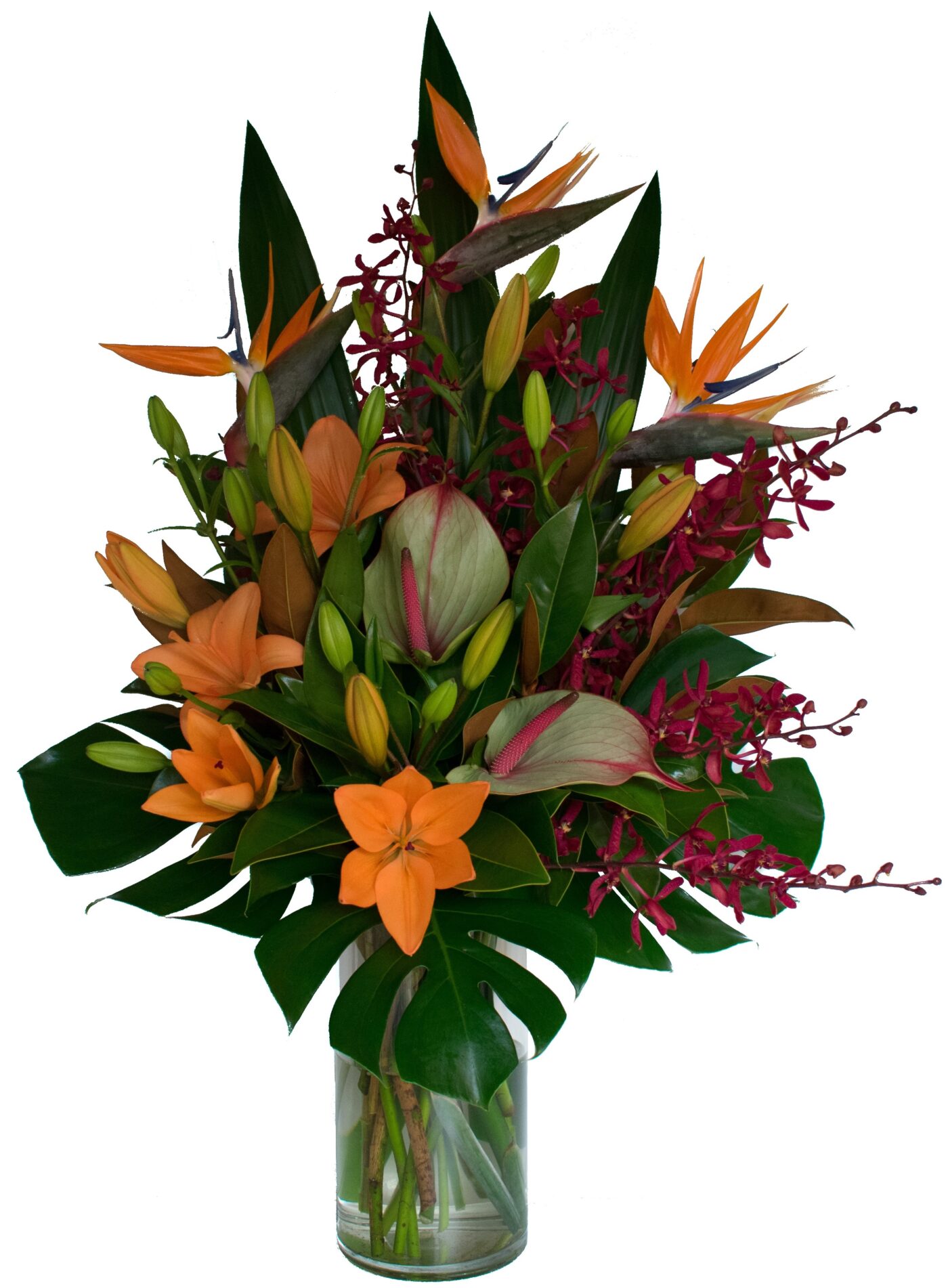 Vanessa Flower Scentsation