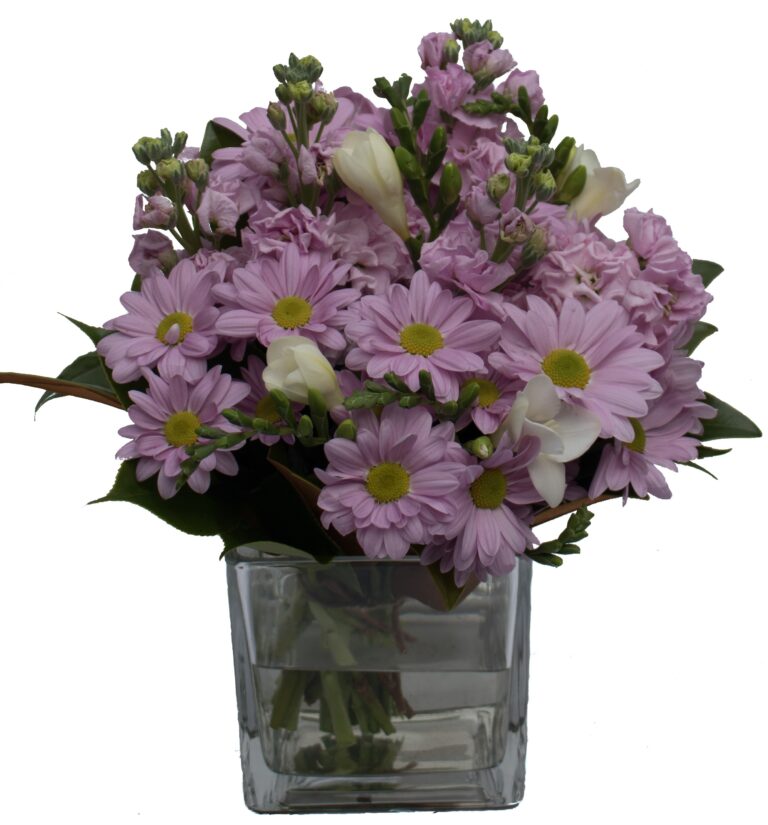 Veronica Flower Scentsation