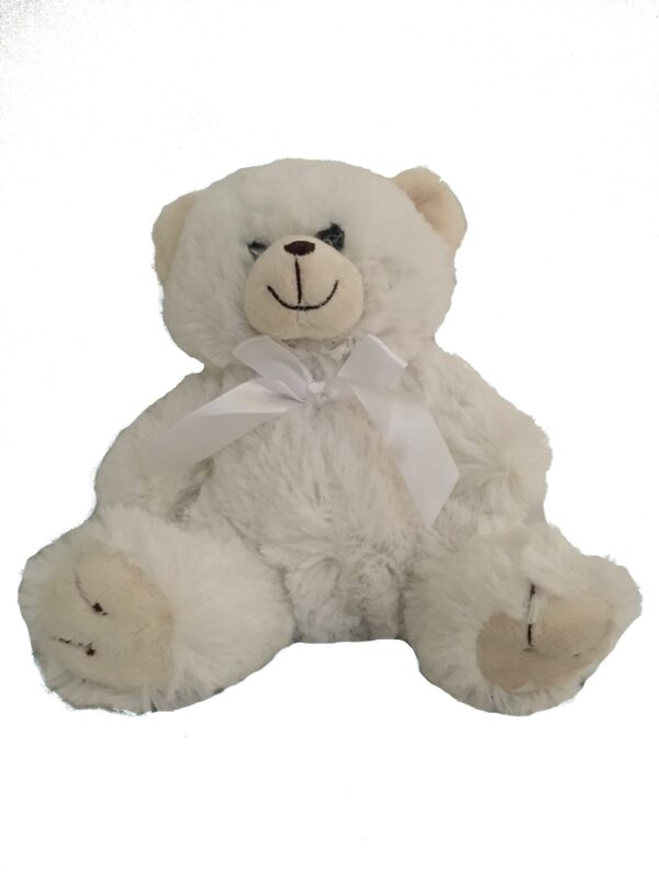 Medium Teddy Bear White