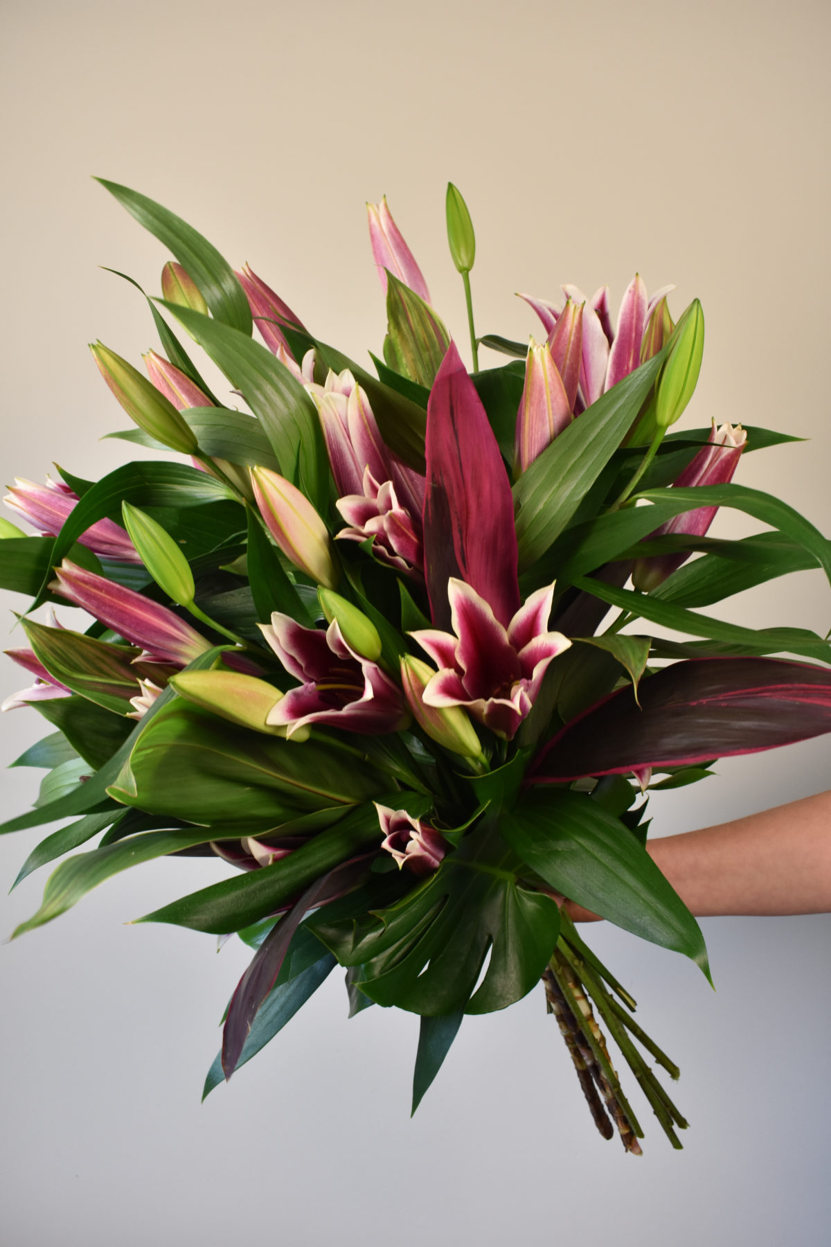 Bodie Flower Scentsation bodie-flower-scentsation