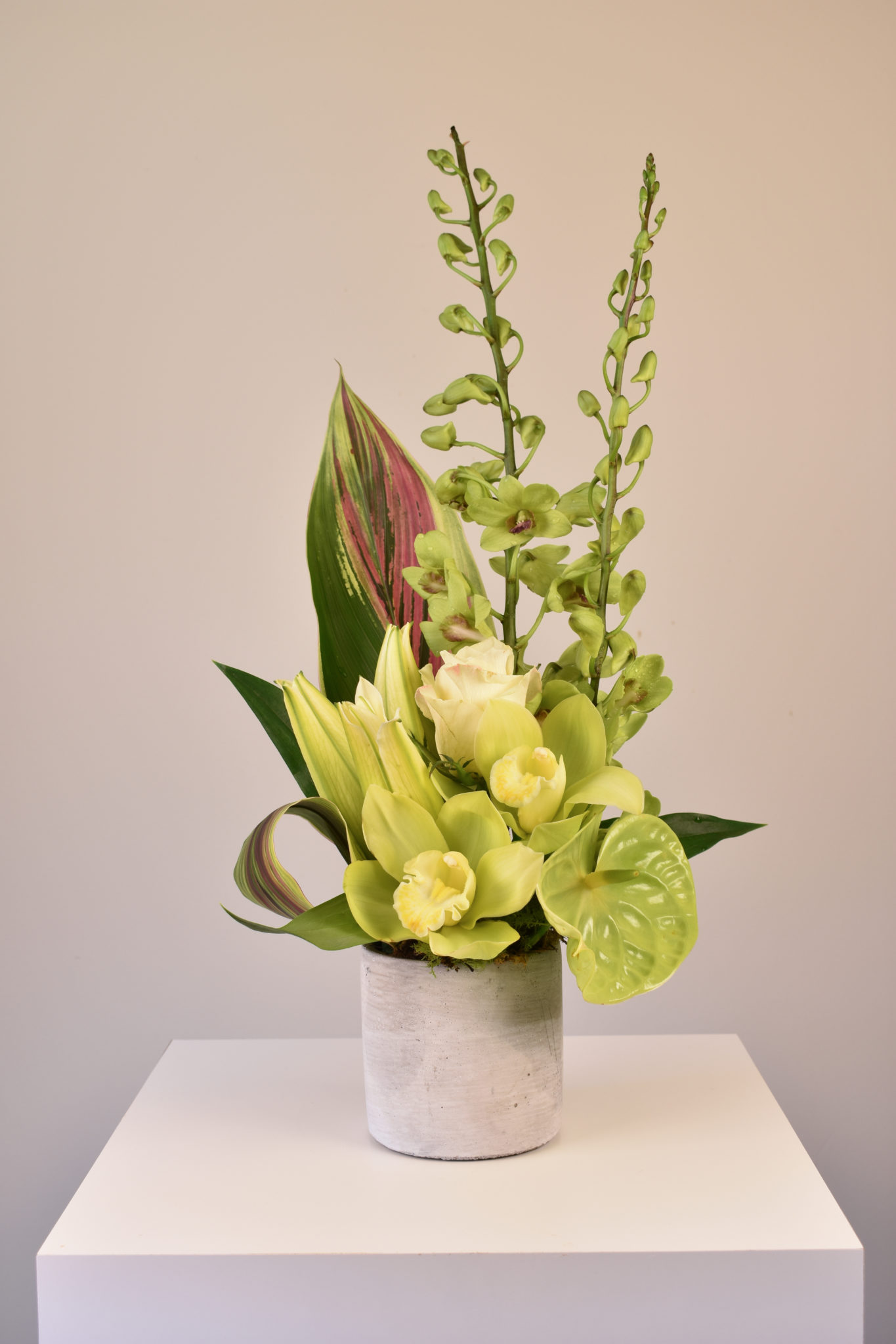 Image showcasing Buy Flower Arrangements Online | Bouquet Flowers | Sympathy ...
